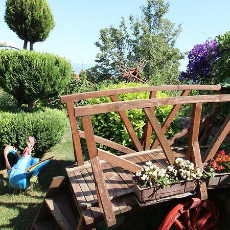 Apartmani Mishe Vevčani Εξωτερικό φωτογραφία